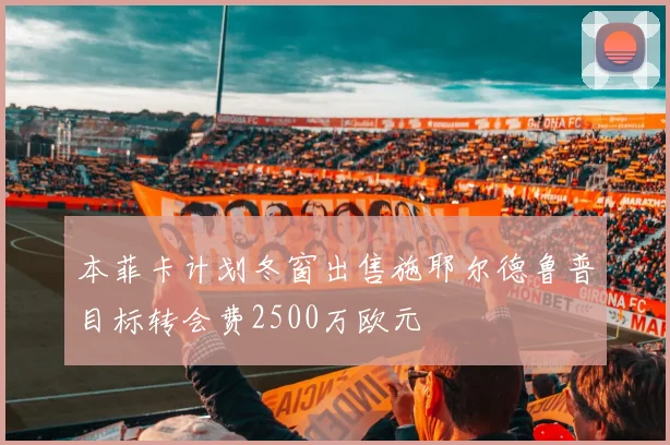 本菲卡计划冬窗出售施耶尔德鲁普目标转会费2500万欧元