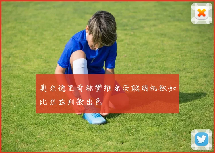 奥尔德里奇称赞维尔茨聪明机敏如比尔兹利般出色