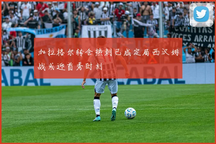 加拉格尔转会热刺已成定局西汉姆战或迎首秀时刻