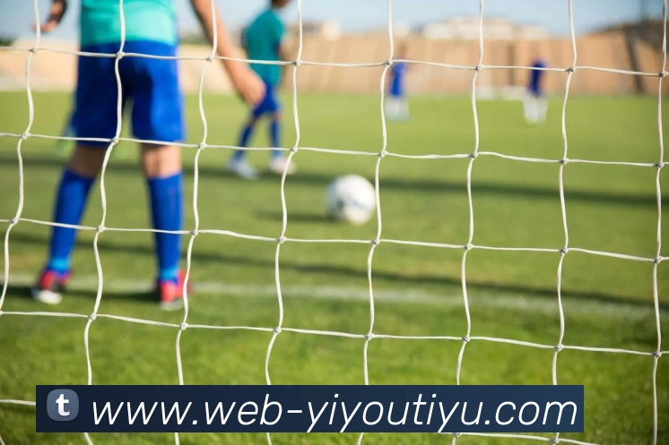 易游体育平台生态图