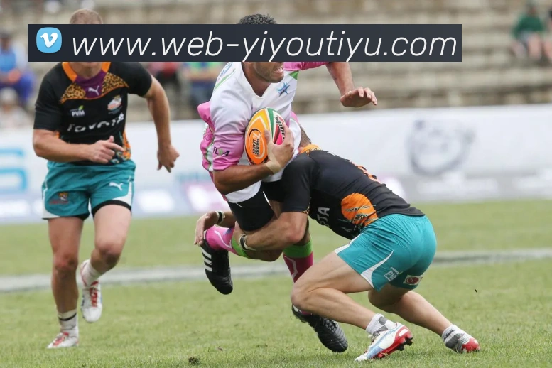 易游体育APP 封面图